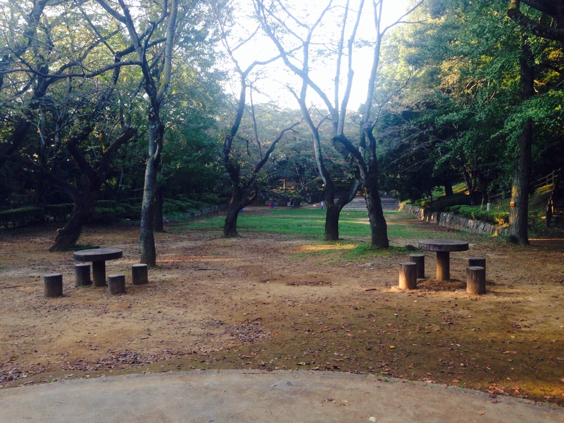 お花見広場