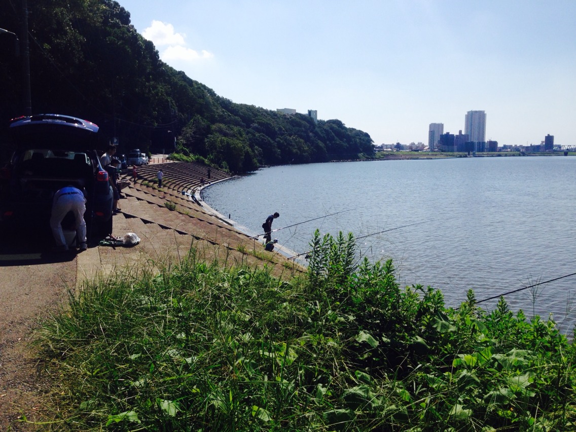 見下ろす江戸川