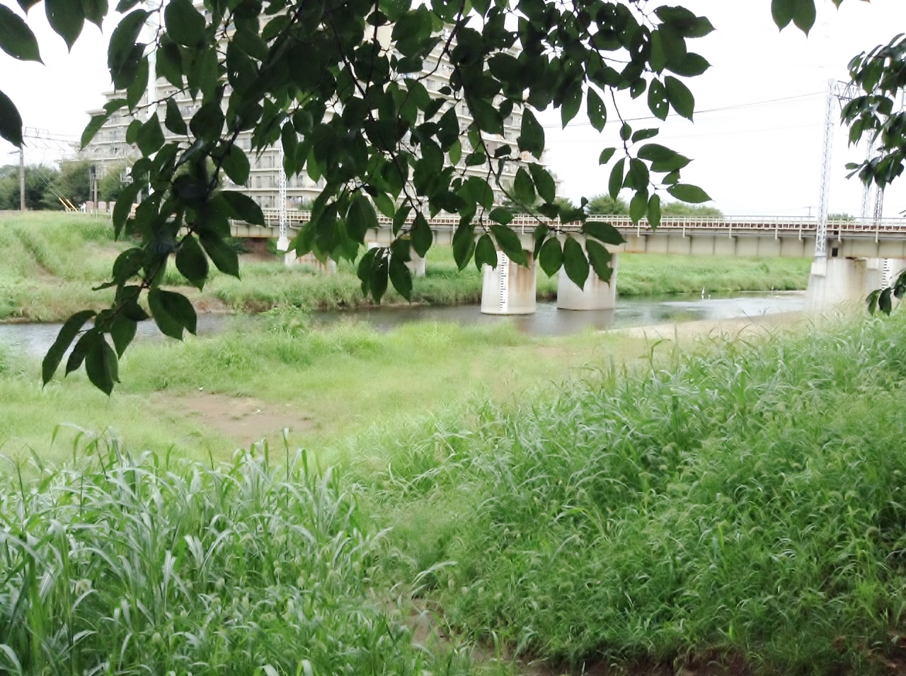 河川敷に風景