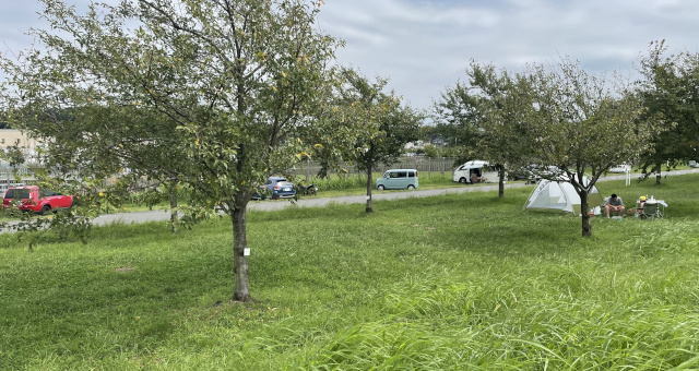 遊歩道から緑地エリア