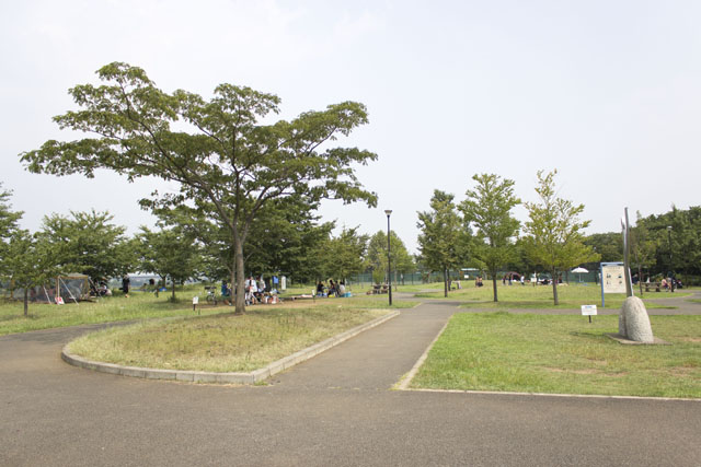 樹木と歩道