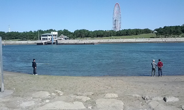 葛西海浜公園(西なぎさ)の雰囲気