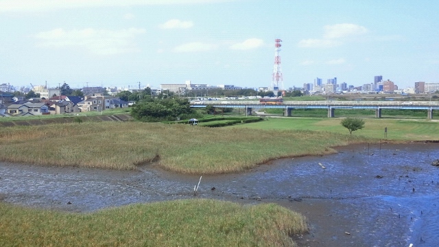 自然が残る河川敷