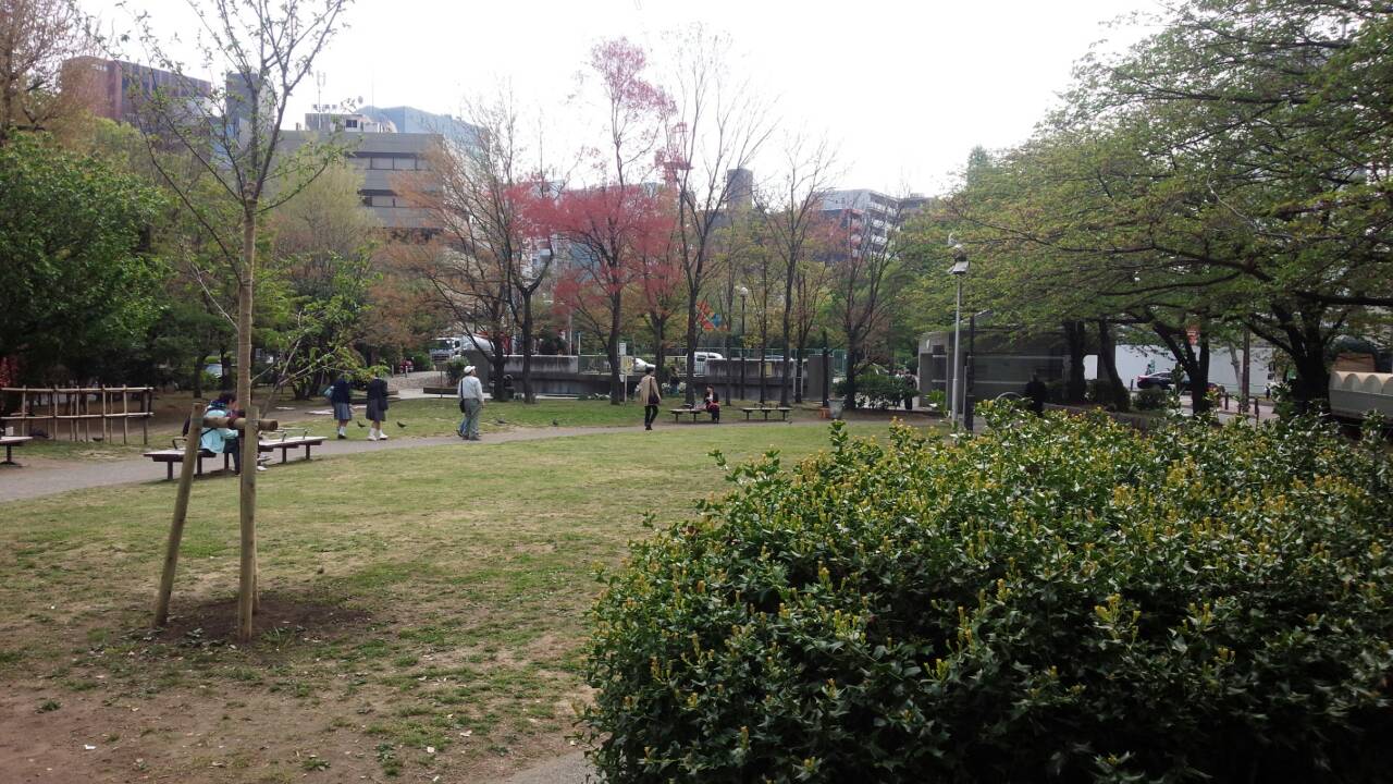 公園芝生