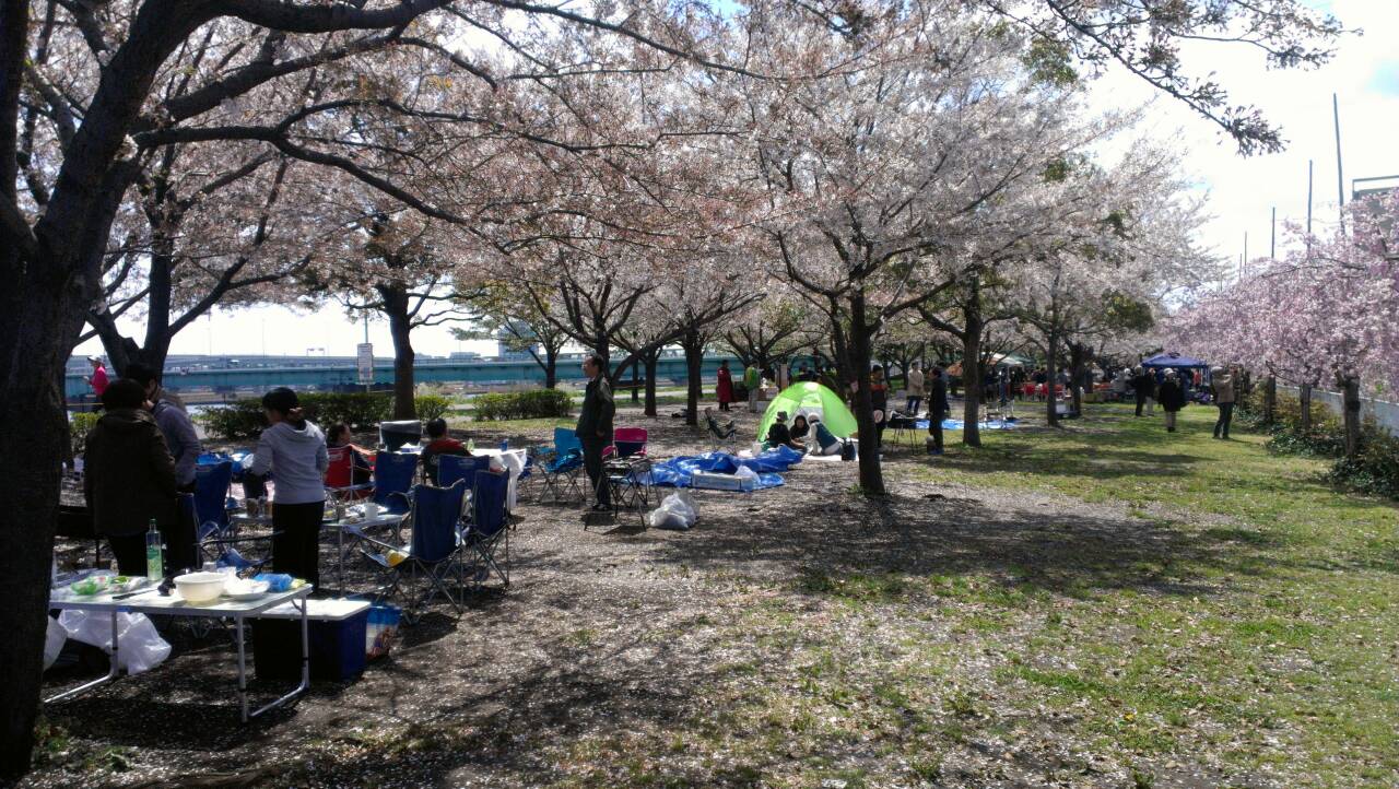 さくらの名所・千本桜BBQ場｜バーベキューレンタルのBBQ-PARK