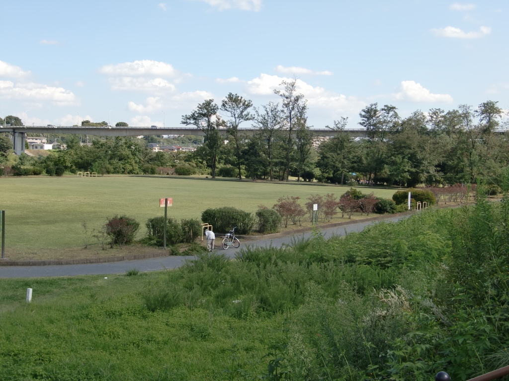 全体の風景