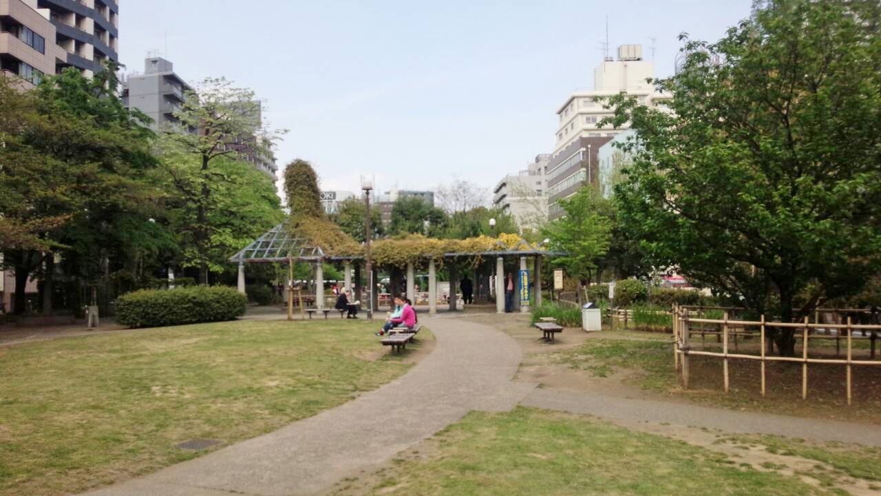 公園景色2