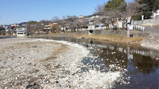 橋からの風景