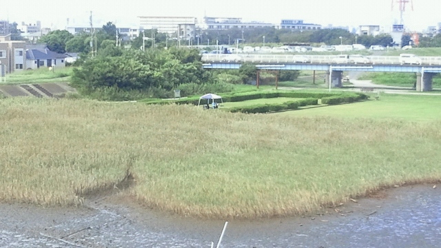 河川の様子