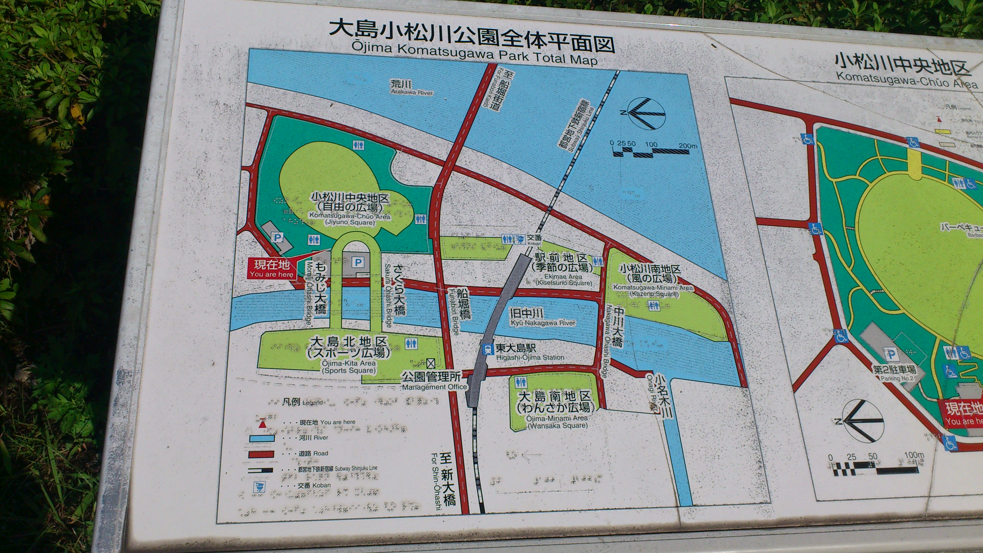 大島小松川公園マップ