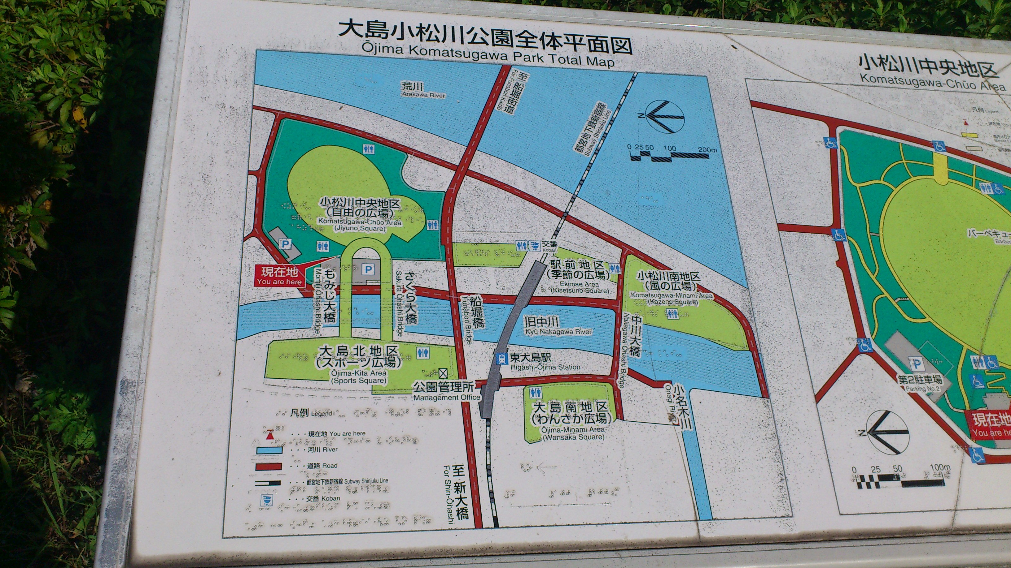 公園 大島 小松川 コラムVOL.５１８ドラマの撮影でよく使われる公園、ロケ地「大島小松川公園」