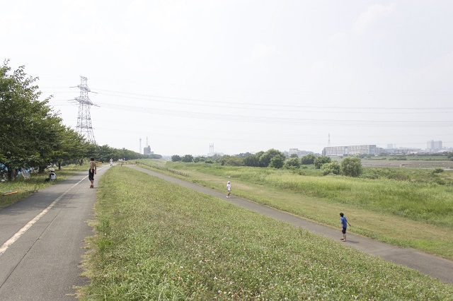 緑地公園横の河川敷