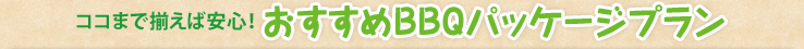 RR܂őΈSI BBQpbP[Wv
