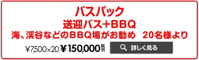 バスパックプラン