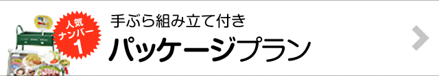 パッケージプラン