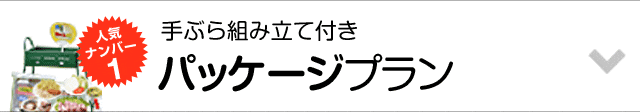 パッケージプラン