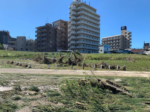 丸子橋河川敷①