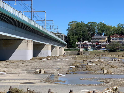 丸子橋河川敷⑤