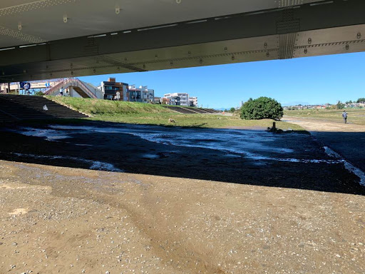 丸子橋河川敷⑦